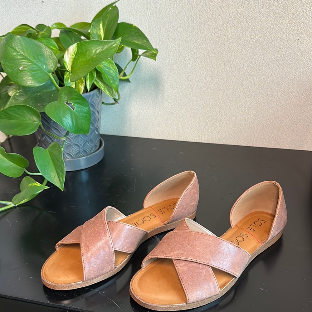 Sole Society flats in brown. Hurt my feet so were never worn. Size tags intact